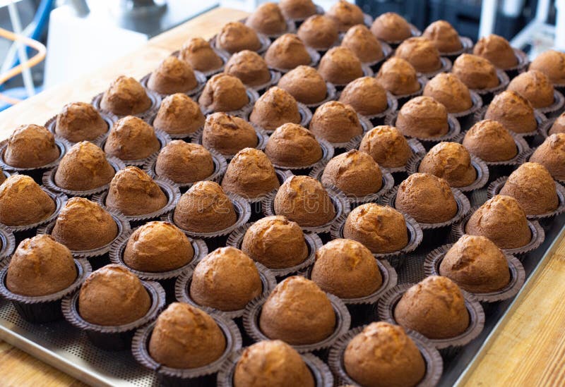 Muffins deliciosos de chocolate fresco en una bandeja, fondo, espacio para copiar, postre, fabricación imágenes de archivo libres de regalías Muffins deliciosos de chocolate fresco en una bandeja, fondo, espacio para copiar, postre, fabricación imágenes de archivo libres de regalías