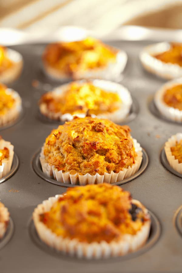 Muffins mit der Karotte und Blaubeere frisch gebacken lizenzfreies stockfoto Muffins mit der Karotte und Blaubeere frisch gebacken lizenzfreies stockfoto