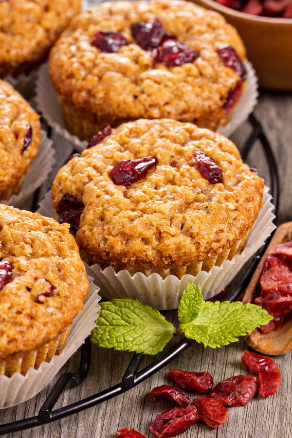 Muffins με τα ξηρά μούρα στοκ εικόνα με δικαίωμα ελεύθερης χρήσης Muffins με τα ξηρά μούρα στοκ εικόνα με δικαίωμα ελεύθερης χρήσης