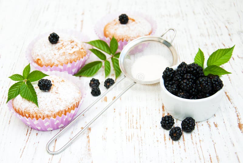 Muffins με το βατόμουρο στοκ φωτογραφία με δικαίωμα ελεύθερης χρήσης Muffins με το βατόμουρο στοκ φωτογραφία με δικαίωμα ελεύθερης χρήσης