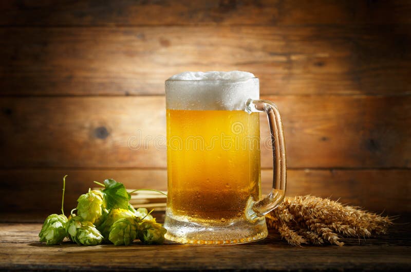 Mug of Beer with Green Hops and Wheat Ears Stock Photo Image of