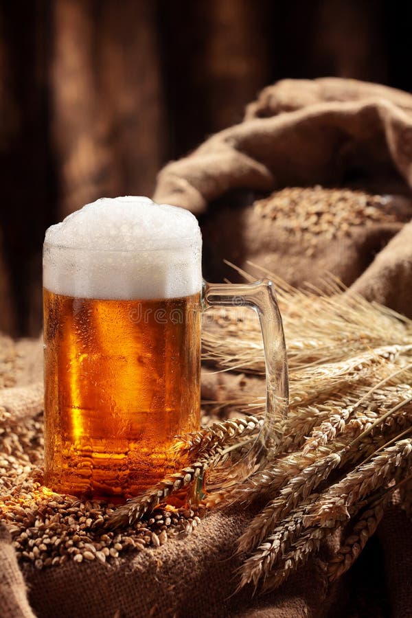 Mug of Beer in Malt.Pale Malt, Crystal Malt. Still Life. Copy Space