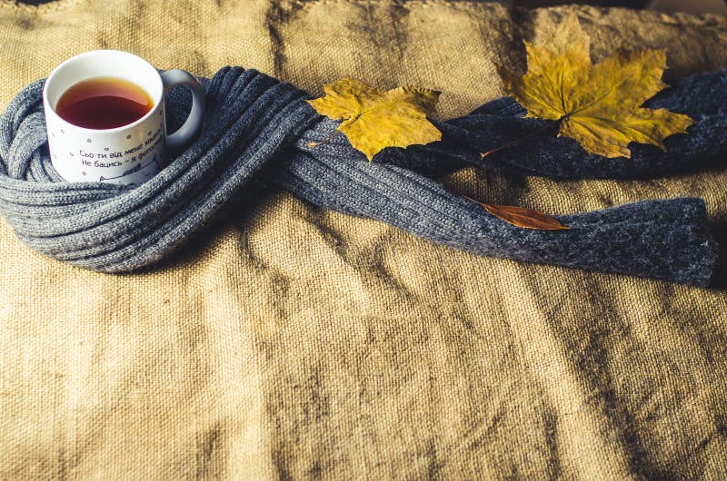 Mug of Tea or Coffee Wrapped with a Scarf Stock Photo Image of