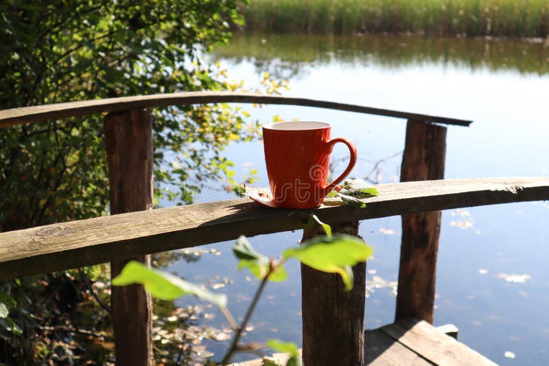A mug of tea on the railing of the bridge against the background of a forest bridge, side view-the concept of a pleasant holiday royalty free stock image