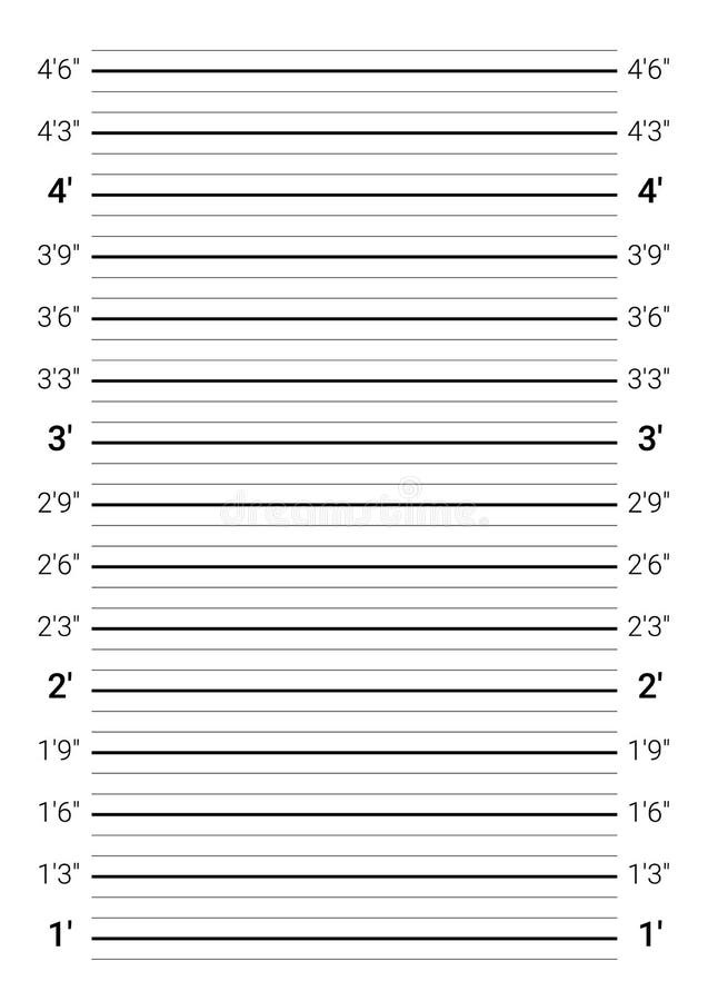 Mugshot Background. Police Lineup Wall with a Metric Units Scale Stock ...