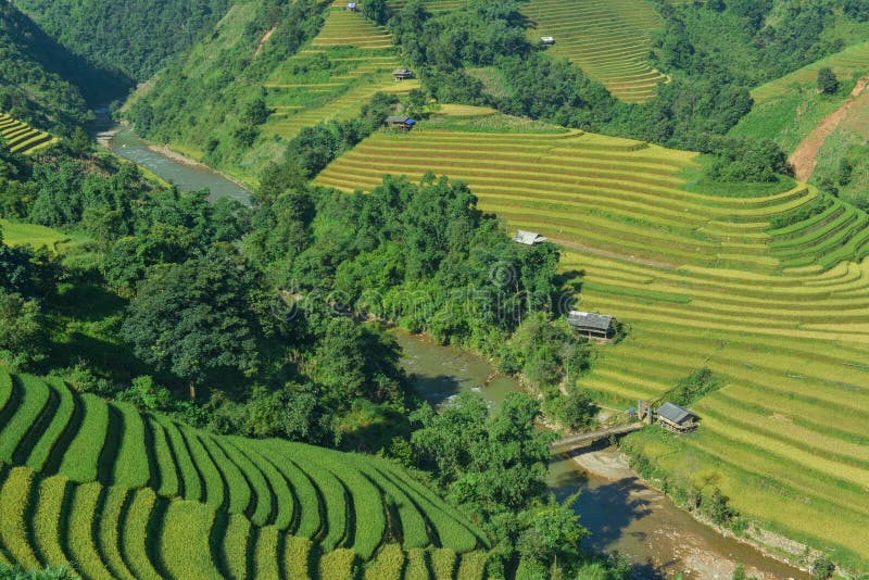 The H`Mong`s traditional house and their terraced rice field which is called `Mui Giay` Shoe shape in La Pan Tan commune, Mu Cang Chai dist., Yen Bai prov., Viet Nam. The H`Mong`s traditional house and their terraced rice field which is called `Mui Giay` Shoe shape in La Pan Tan commune, Mu Cang Chai dist., Yen Bai prov., Viet Nam