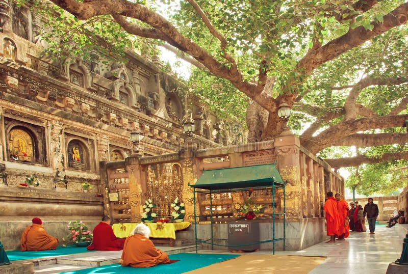 Muitas orações que sentam-se em torno da árvore de Bodhi, que o buddha se tornou iluminado