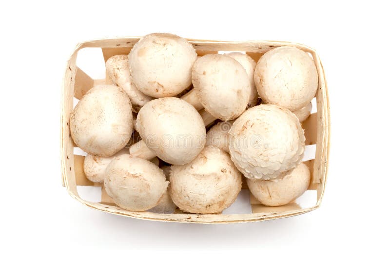 Muitos cogumelos em uma cesta de vime imagem de stock Muitos cogumelos em uma cesta de vime imagem de stock