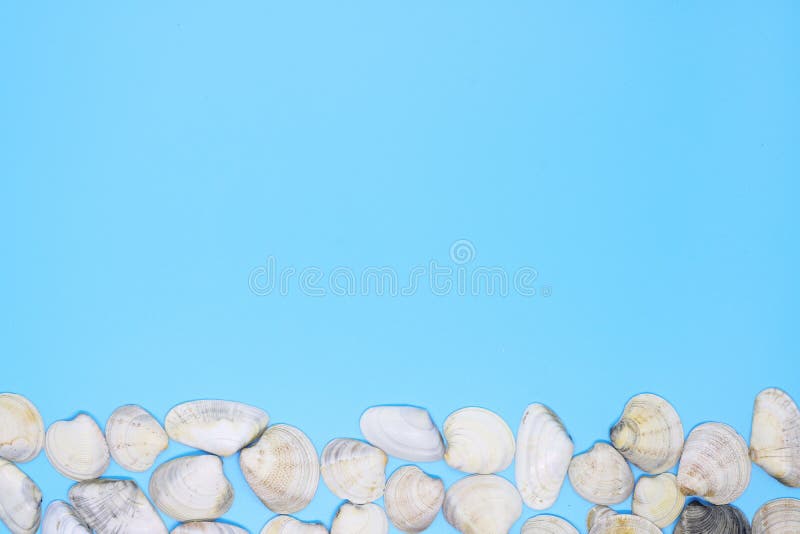 Muitos escudos criam o bardyur em um fundo azul, o fundo para o texto fotografia de stock royalty free Muitos escudos criam o bardyur em um fundo azul, o fundo para o texto fotografia de stock royalty free