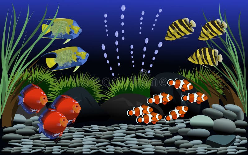 Muitos peixes bonitos no aquário com cascalho e em árvores pequenas decoraram ilustração royalty free Muitos peixes bonitos no aquário com cascalho e em árvores pequenas decoraram ilustração royalty free