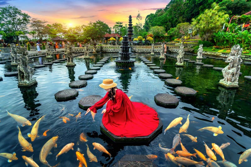 Mujer alimentando peces coloridos en un estanque en el palacio de agua de tirta gangga en bali indonesia fotos de archivo