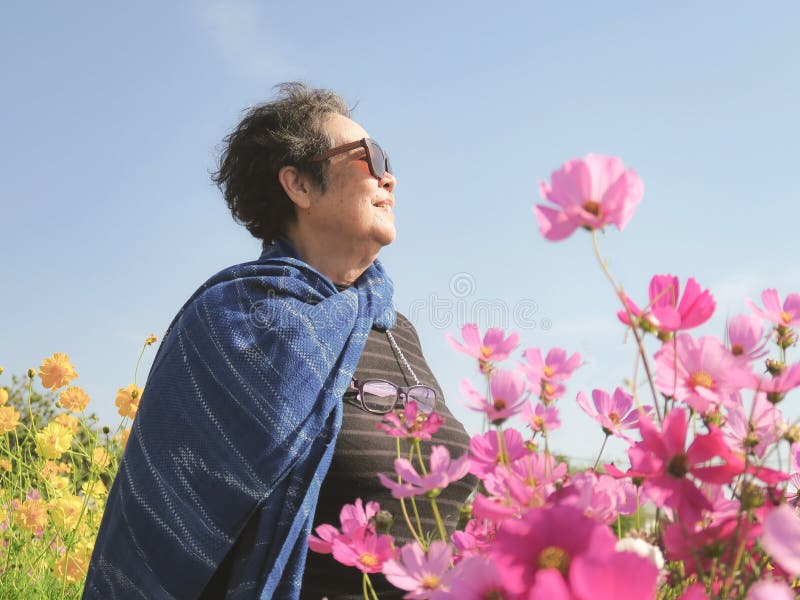 Janice Barrio Illinois Mujer Asiática Con Anteojos De Sol Mirando Hacia Arriba Y Sonriendo En El  Jardín De Flores Del Cosmos Imagen de archivo - Imagen de mayor, adulto:  165903129