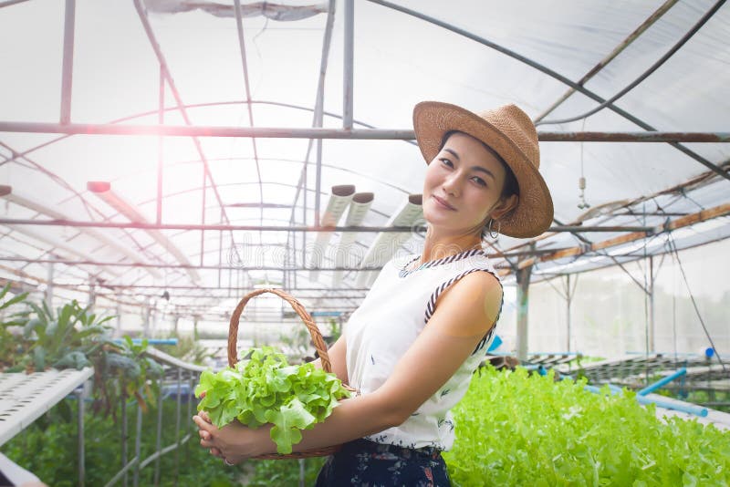 Mujer asiática hermosa que lleva a cabo la situación de la cesta de las verduras en granja del hidrocultivo Forma de vida sana foto de archivo libre de regalías Mujer asiática hermosa que lleva a cabo la situación de la cesta de las verduras en granja del hidrocultivo Forma de vida sana foto de archivo libre de regalías