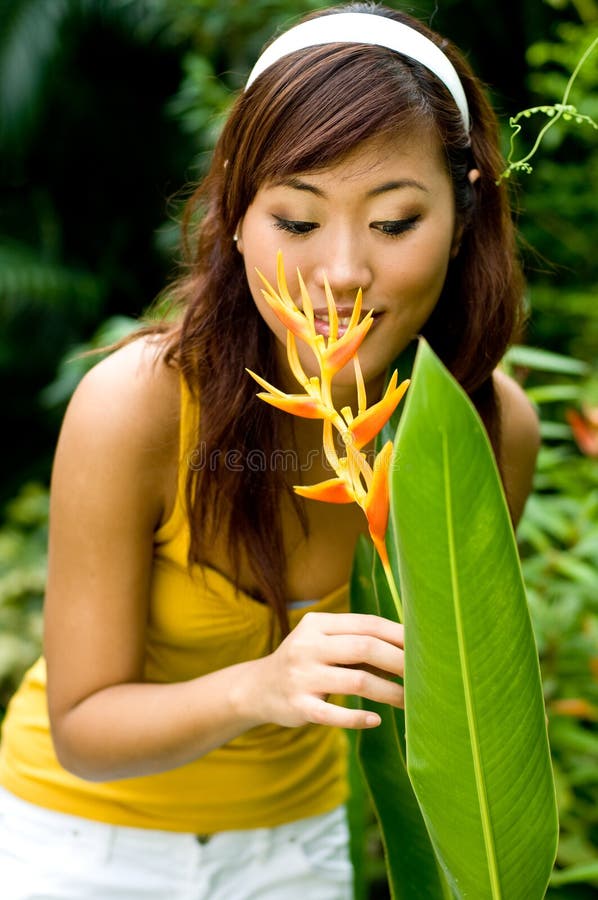 Mujer asiática que huele una flor foto de archivo Mujer asiática que huele una flor foto de archivo