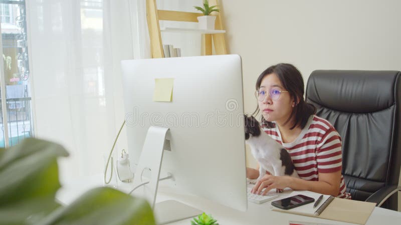 Mujer asiática que usa computadora de escritorio trabaja en casa y juega con mascota de perro en la oficina del hogar. trabajo de