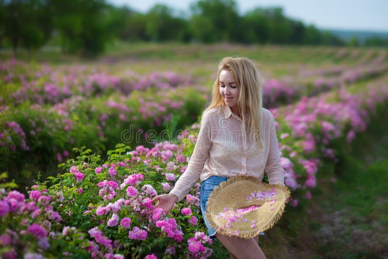 Mujer blanda joven bonita que camina en el campo de las rosas de té Los vaqueros que llevan de la señora rubia y el sombrero retr fotos de archivo libres de regalías Mujer blanda joven bonita que camina en el campo de las rosas de té Los vaqueros que llevan de la señora rubia y el sombrero retr fotos de archivo libres de regalías