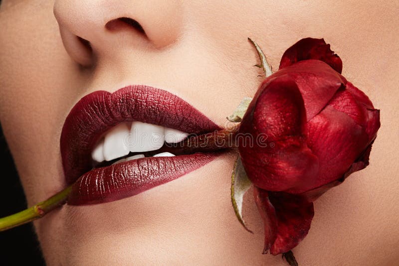 Mujer con el lápiz labial rojo que sostiene una rosa roja en boca fotografía de archivo libre de regalías Mujer con el lápiz labial rojo que sostiene una rosa roja en boca fotografía de archivo libre de regalías