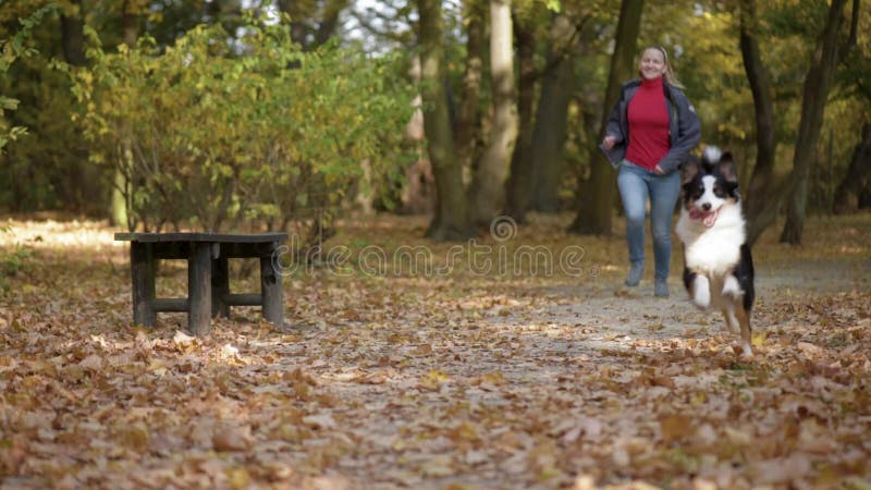 Mujer con el perro en parque