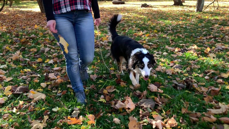 Mujer con el perro en parque