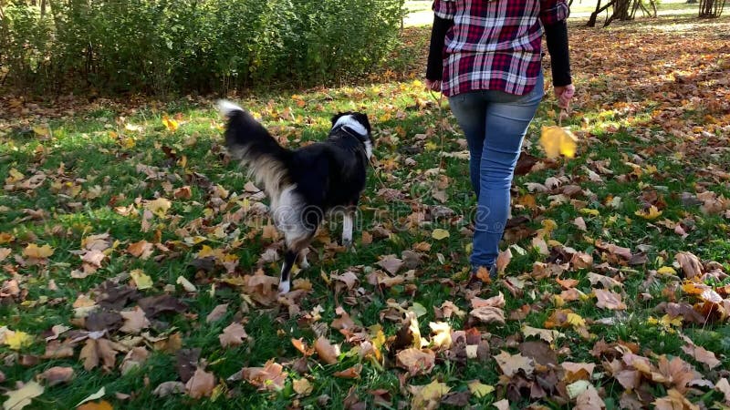 Mujer con el perro en parque