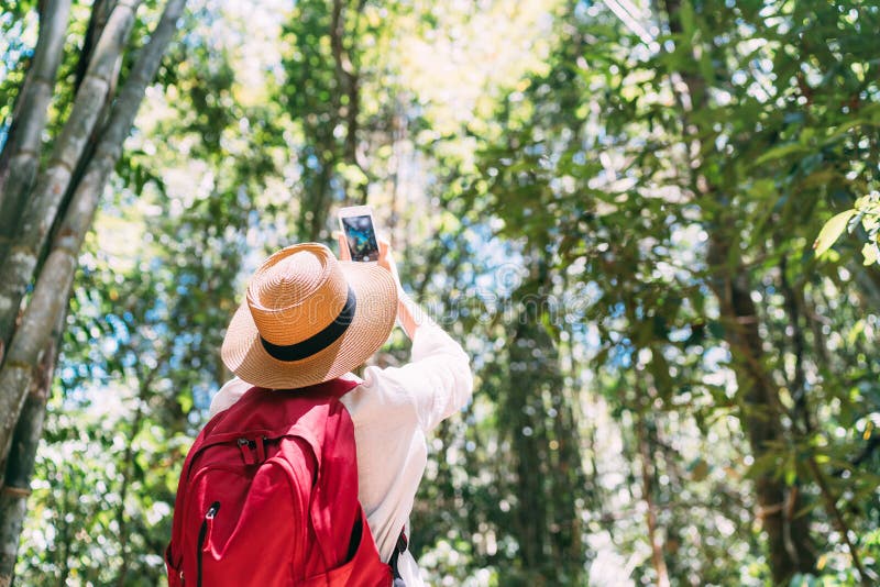 Mujer con la mochila en viaje a través del bosque de la selva que para tomando la imagen con smartphone imagenes de archivo Mujer con la mochila en viaje a través del bosque de la selva que para tomando la imagen con smartphone imagenes de archivo