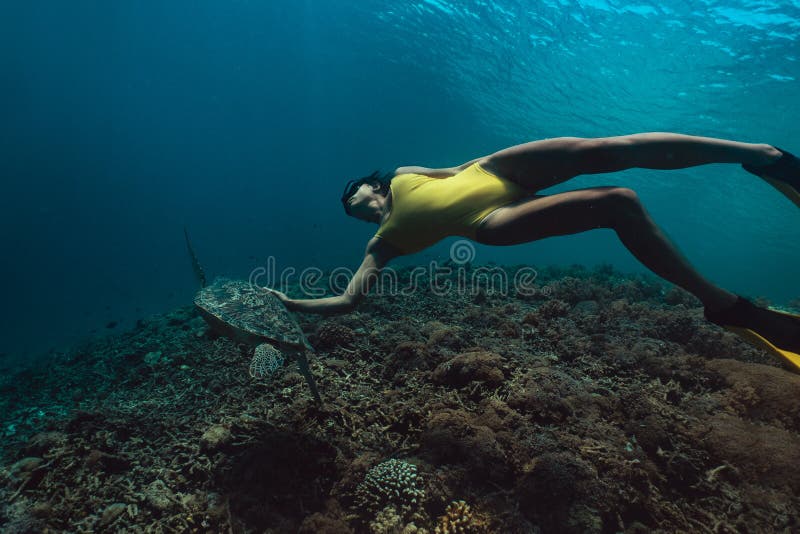 Mujer de Freediver con la tortuga, fotografía subacuática fotografía de archivo libre de regalías Mujer de Freediver con la tortuga, fotografía subacuática fotografía de archivo libre de regalías