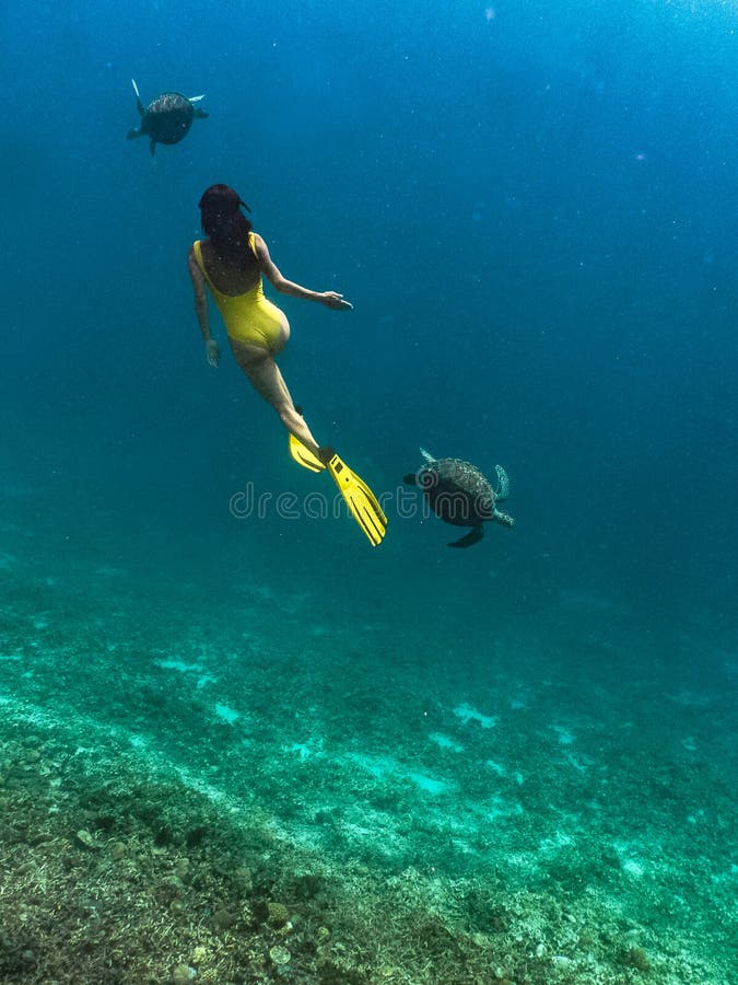 Mujer de Freediver con la tortuga de hawksbill, fotografía subacuática fotografía de archivo libre de regalías Mujer de Freediver con la tortuga de hawksbill, fotografía subacuática fotografía de archivo libre de regalías