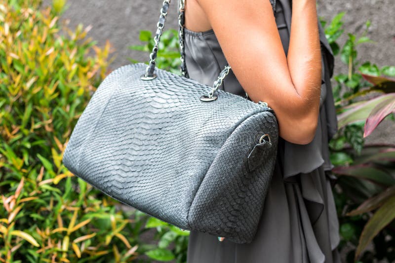 Mujer De Moda Que Sostiene El Bolso Elegante De Lujo Del Pitón Del Snakeskin Equipo Elegante Ciérrese Para Arriba Del Monedero En Imagen de archivo - Imagen de fashionable: 88432667