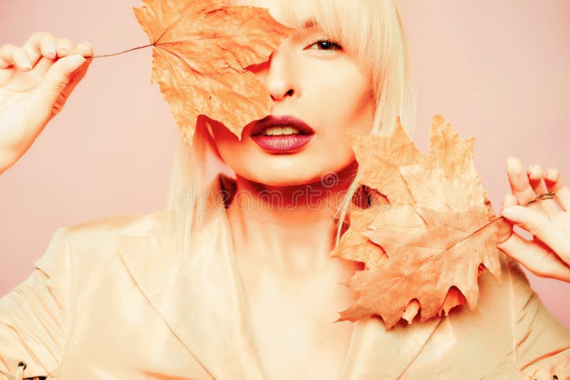 Mujer del oto?o Lugar para su texto Autumn Leaves Background Autumn Leaves Hojas de oto?o aisladas foto de archivo libre de regalías Mujer del oto?o Lugar para su texto Autumn Leaves Background Autumn Leaves Hojas de oto?o aisladas foto de archivo libre de regalías
