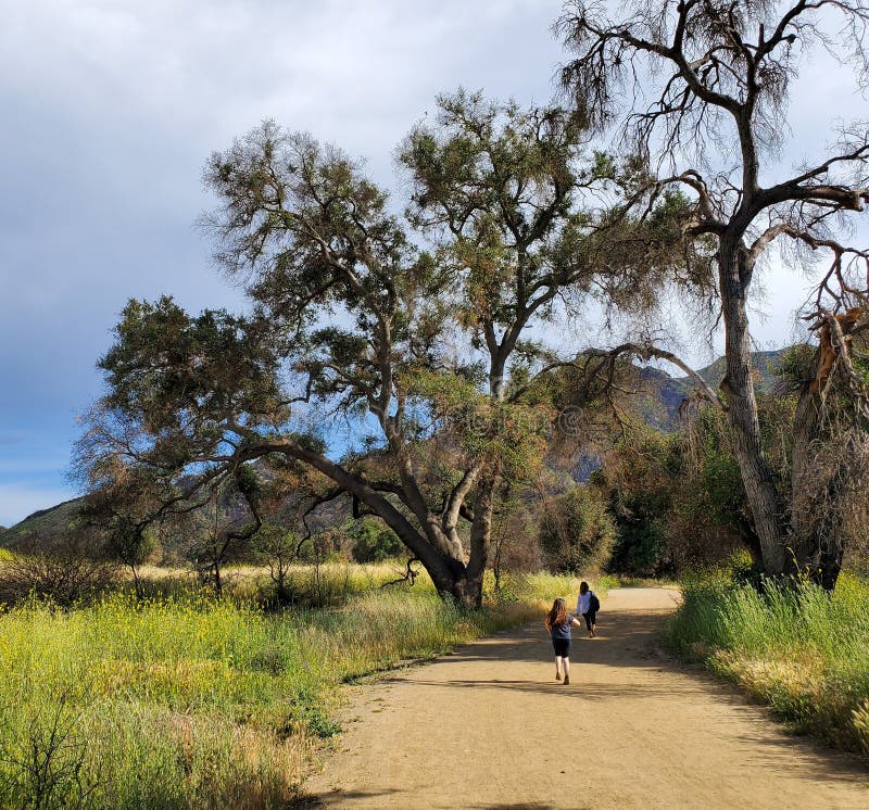 Mujer e hija que caminan junto en un rastro o un camino de tierra en el bosque al lado de un campo amarillo imágenes de archivo libres de regalías Mujer e hija que caminan junto en un rastro o un camino de tierra en el bosque al lado de un campo amarillo imágenes de archivo libres de regalías