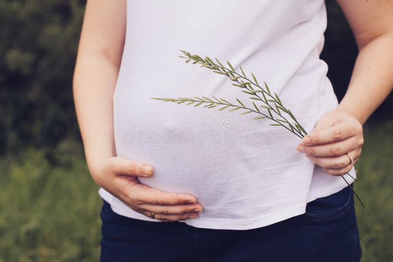 Mujer Embarazada Con Las Manos En El Vientre Imagen de archivo Imagen
