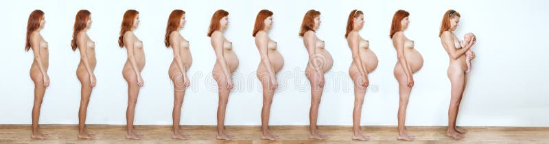 Mujer embarazada del collage que comienza a terminar, nueve meses, stat nueve