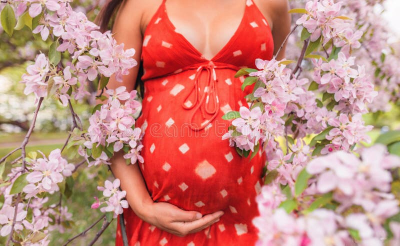 Mujer Embarazada Vestido De Vientre Con Flores. Retrato De Embarazo En Flores De Rosadas En árboles De De Flores Foto de archivo - Imagen de primer, 270015684