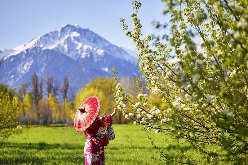 Mujer en el traje de Japón en la flor de cerezo foto de archivo Mujer en el traje de Japón en la flor de cerezo foto de archivo
