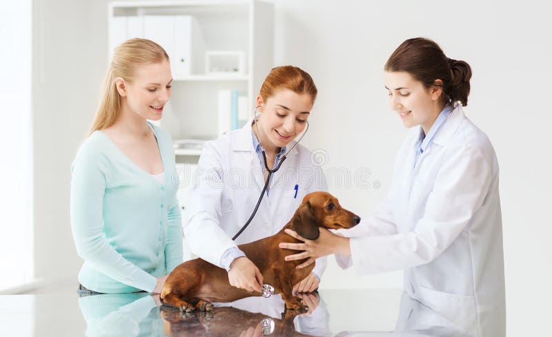 Mujer feliz con el perro y el doctor en la clínica del veterinario fotografía de archivo libre de regalías Mujer feliz con el perro y el doctor en la clínica del veterinario fotografía de archivo libre de regalías