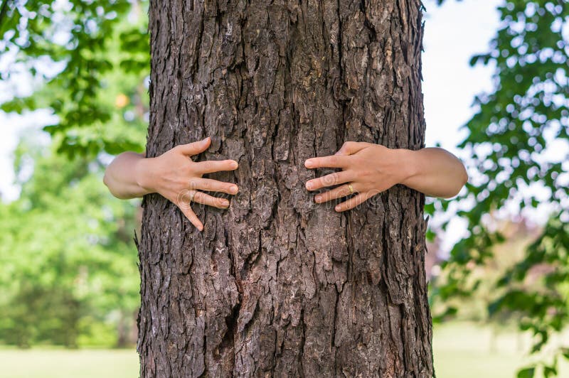 Mujer Que Abraza Un árbol En El Bosque Foto de archivo 