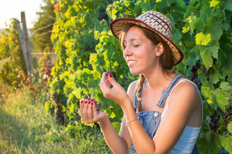 Mujer feliz que come las uvas en viñedo imágenes de archivo libres de regalías Mujer feliz que come las uvas en viñedo imágenes de archivo libres de regalías
