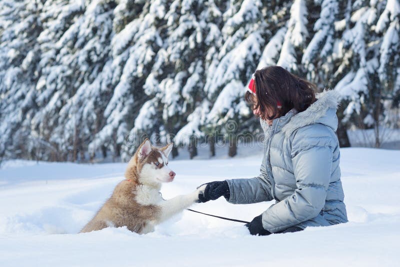 Mujer feliz y su perrito fornido fotos de archivo libres de regalías Mujer feliz y su perrito fornido fotos de archivo libres de regalías