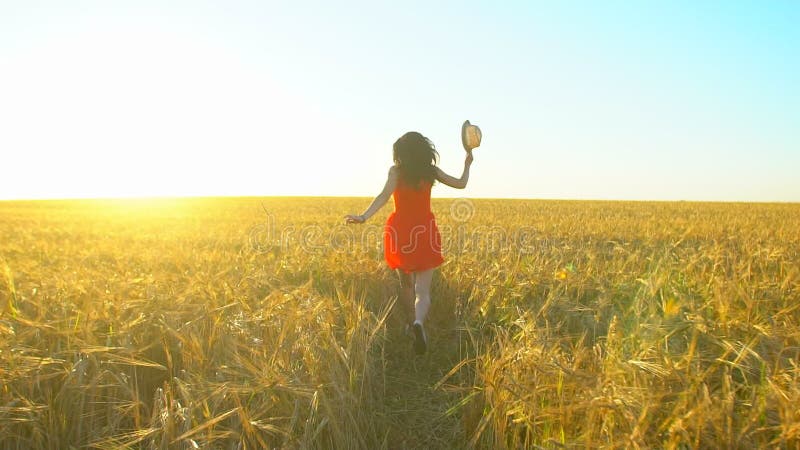 Mujer hermosa hispánica joven del viajero feliz que corre en campo de trigo en verano de la puesta del sol Turismo de la felicida