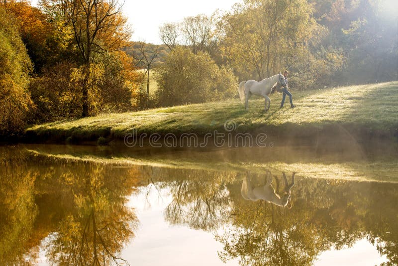Mujer joven con el caballo en el lago fotografía de archivo libre de regalías Mujer joven con el caballo en el lago fotografía de archivo libre de regalías