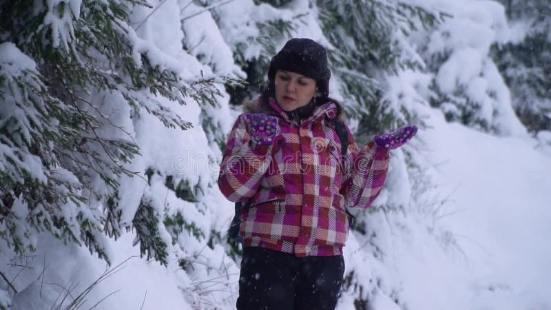 Mujer joven en el bosque nevoso El turista bonito joven se coloca solamente en el bosque y mira alrededor E almacen de metraje de vídeo Mujer joven en el bosque nevoso El turista bonito joven se coloca solamente en el bosque y mira alrededor E almacen de metraje de vídeo