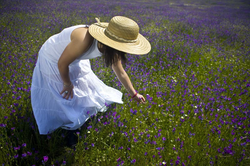 Mujer joven en las flores blancas de la cosecha de la alineada imagen de archivo libre de regalías Mujer joven en las flores blancas de la cosecha de la alineada imagen de archivo libre de regalías