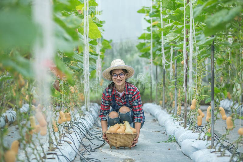 Mujer joven en un invernadero con la cosecha de la calabaza moscada y la tenencia de la cesta