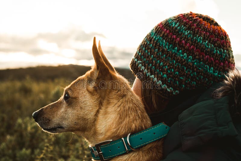 Mujer joven feliz, besando y abrazando su perro Concepto de amor entre la mujer y el perro foto de archivo libre de regalías Mujer joven feliz, besando y abrazando su perro Concepto de amor entre la mujer y el perro foto de archivo libre de regalías