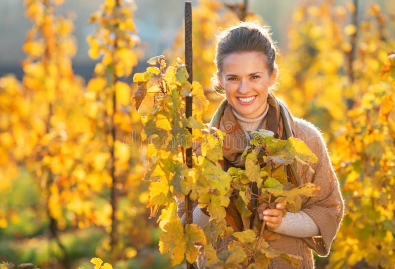 Mujer joven feliz que se coloca en viñedo del otoño fotografía de archivo Mujer joven feliz que se coloca en viñedo del otoño fotografía de archivo
