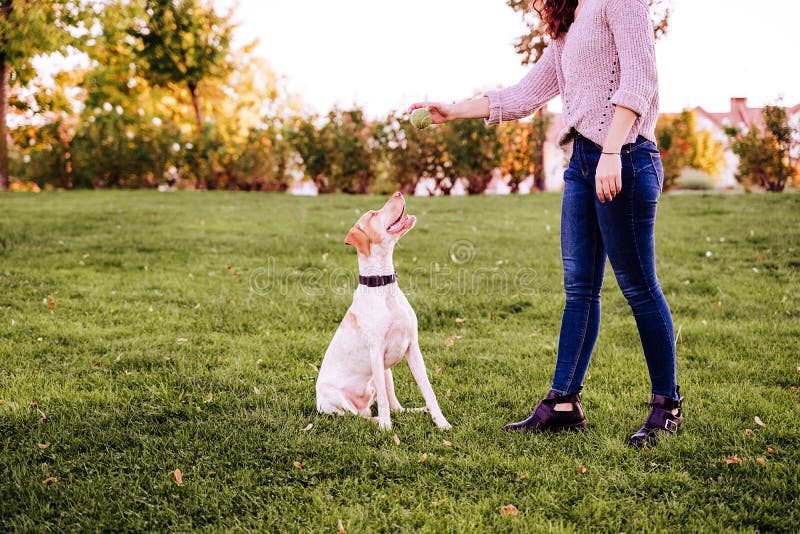 Muchacha Morena Joven Hermosa Que Juega Con Su Perro Foto De Archivo