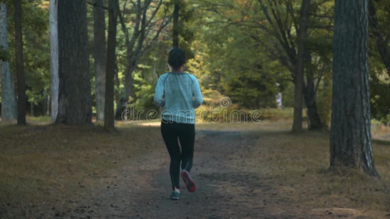 Mujer joven que activa en el parque en día de verano soleado