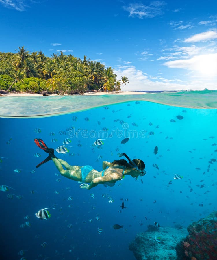 Mujer joven snorkling en la playa tropical imagen de archivo libre de regalías Mujer joven snorkling en la playa tropical imagen de archivo libre de regalías