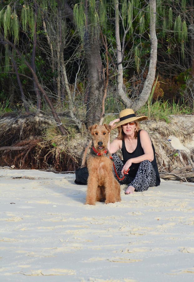 Mujer mayor madura de la voga elegante el día de fiesta de la playa del verano con el perro casero foto de archivo Mujer mayor madura de la voga elegante el día de fiesta de la playa del verano con el perro casero foto de archivo