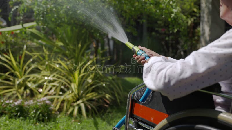 Mujer mayor mano sosteniendo manguera pulverizador y regar plantas en el patio trasero metrajes